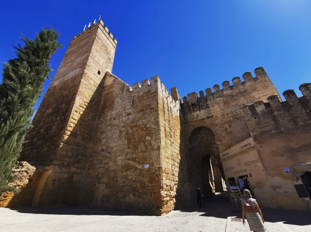 Alcazar de la Puerta de Sevilla-卡莫纳必去景点