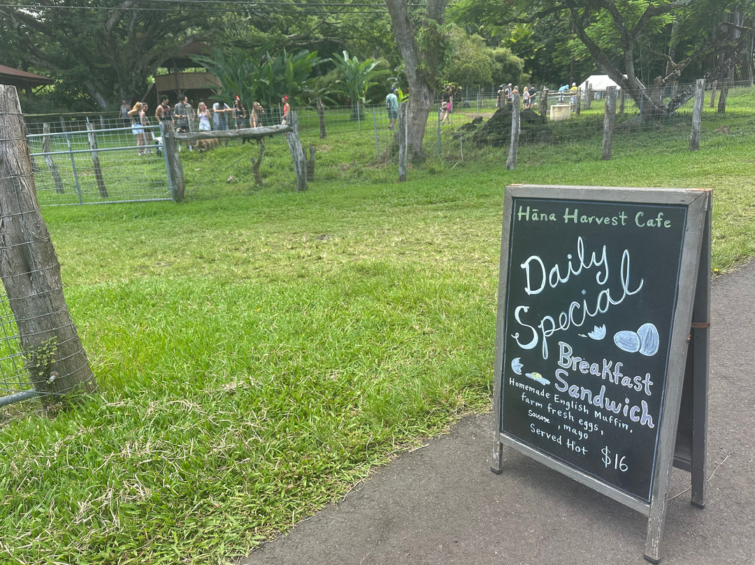 Hāna Gardenlands-哈纳必去景点