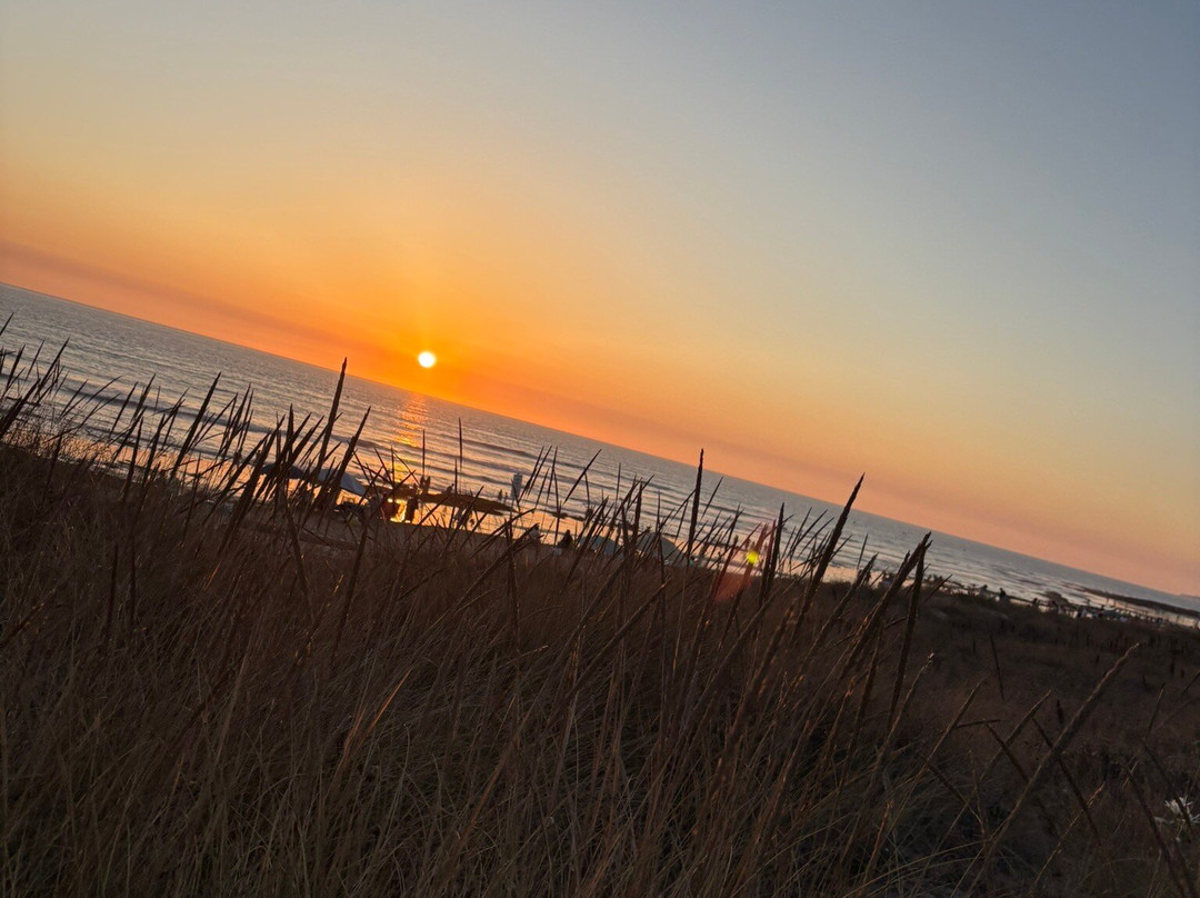 El Palmar-加的斯市必去景点