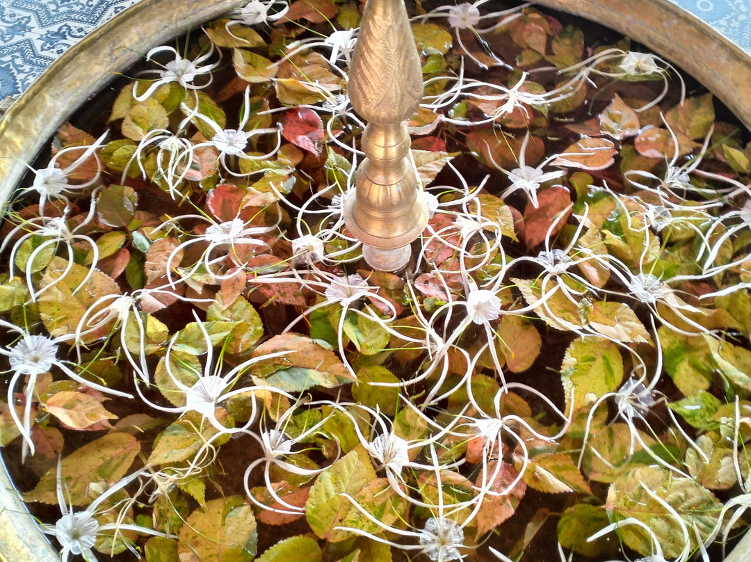 The Pench International's Jungle Water Park主图