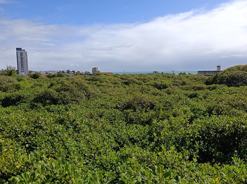 Lila Me Leva-Natal必去景点