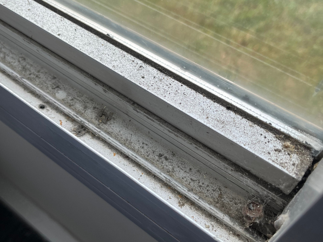 Comfort Inn & Suites主图