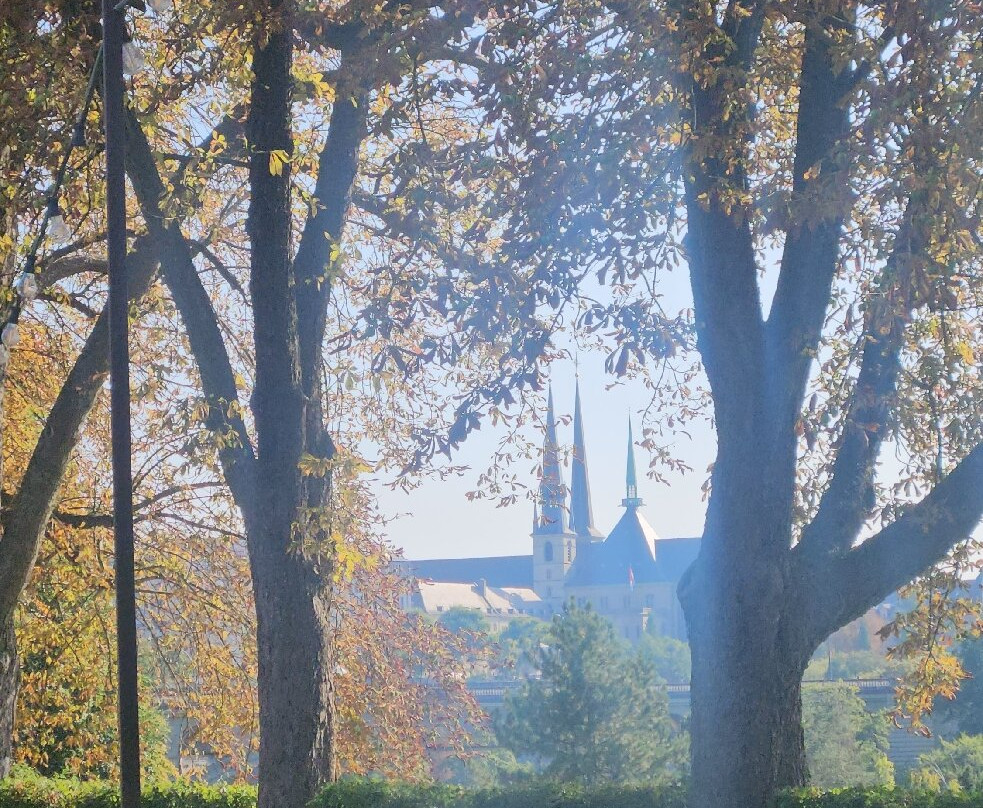 卢森堡高瑞斯集团主图