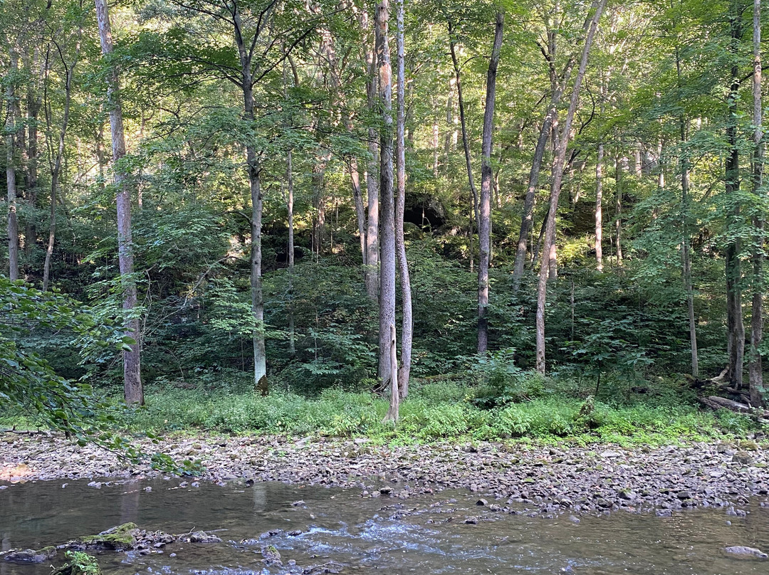 John Bryan State Park-Yellow Springs必去景点