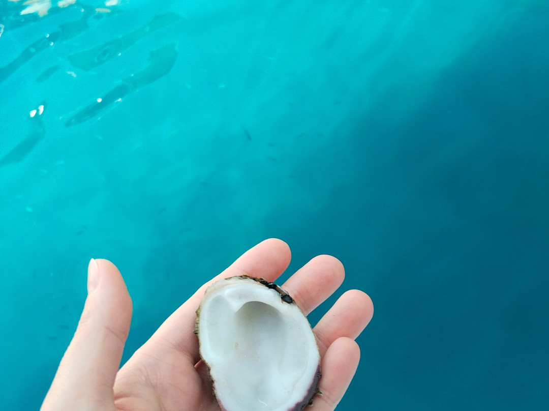 Cinarim-戈西克必去景点