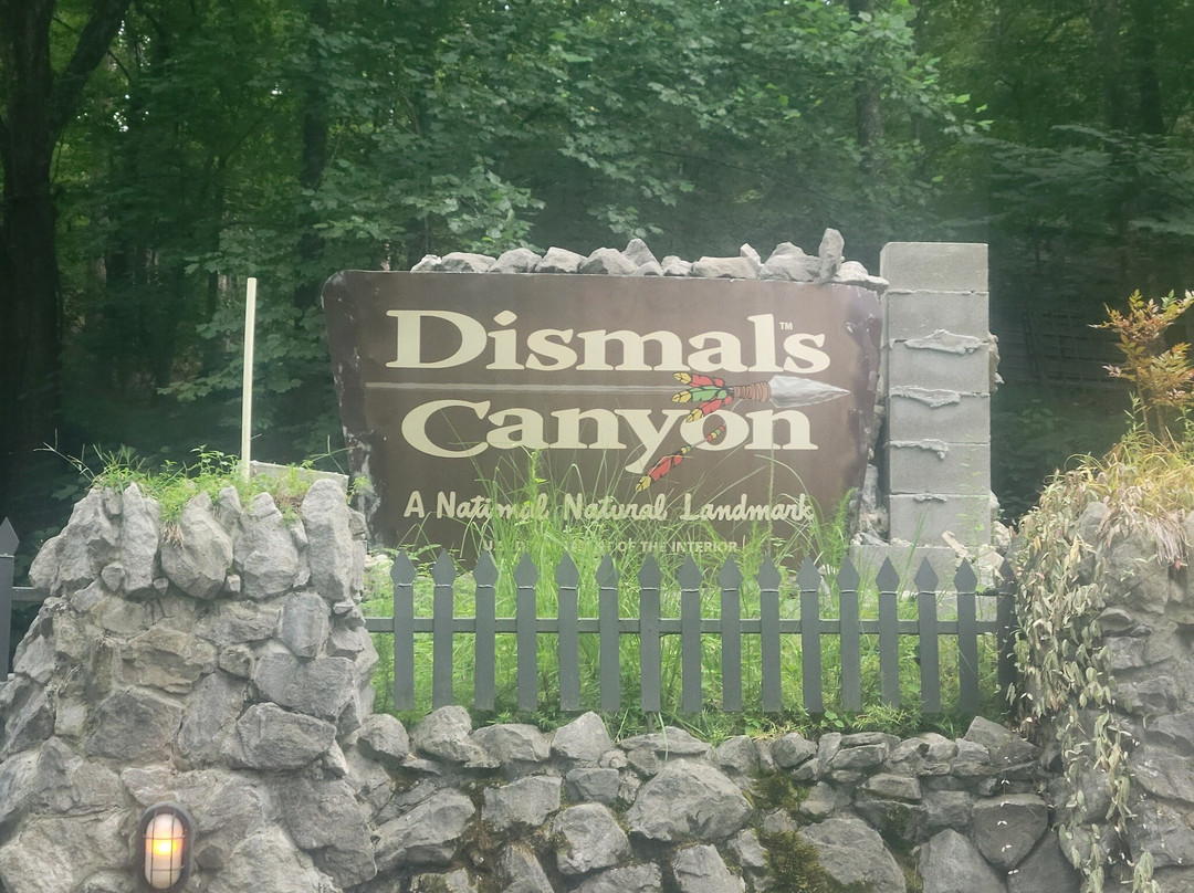 Dismals Canyon-Haleyville必去景点
