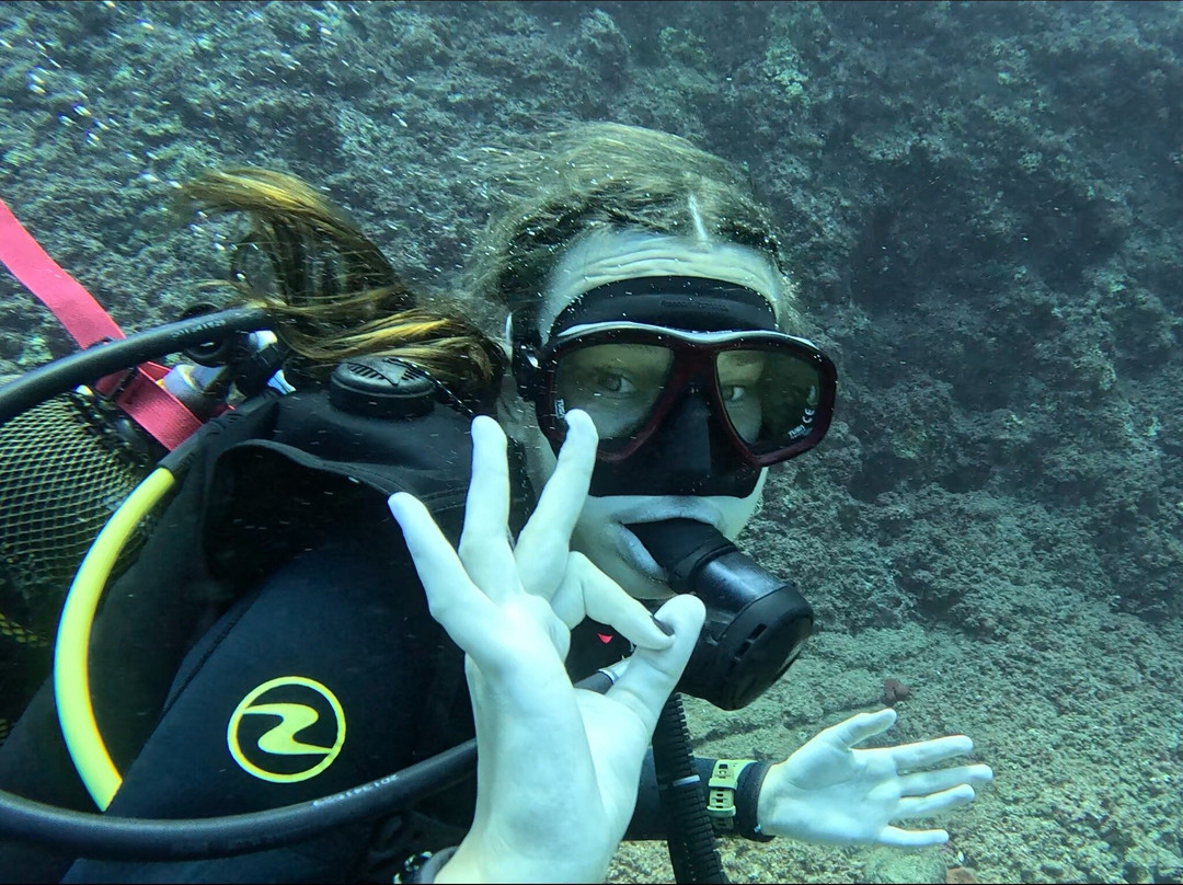 Diver's Club Crete-阿希亚贝拉希亚必去景点