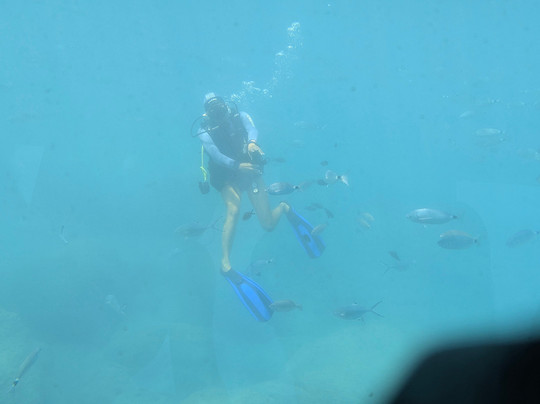 Yellow Submarine-罗德城必去景点