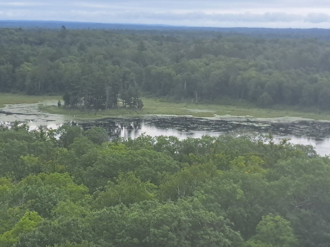Aiton Heights Fire Tower-Lake Itasca必去景点