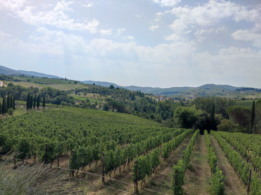 Montecalvi Winery-格雷韦伊恩基亚恩蒂必去景点