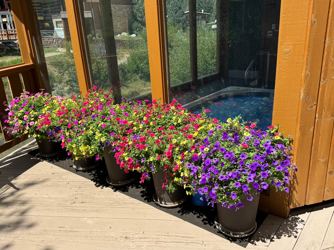 Best Western Rivers Edge主图