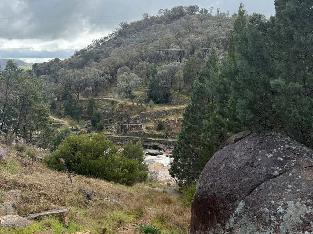 Adelong Falls Gold Mill Ruins-Adelong必去景点
