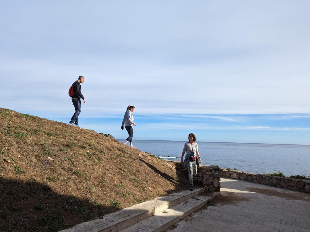 Costa Brava Tours - Private Experience with Driver-Guide-Calella de Palafrugell必去景点