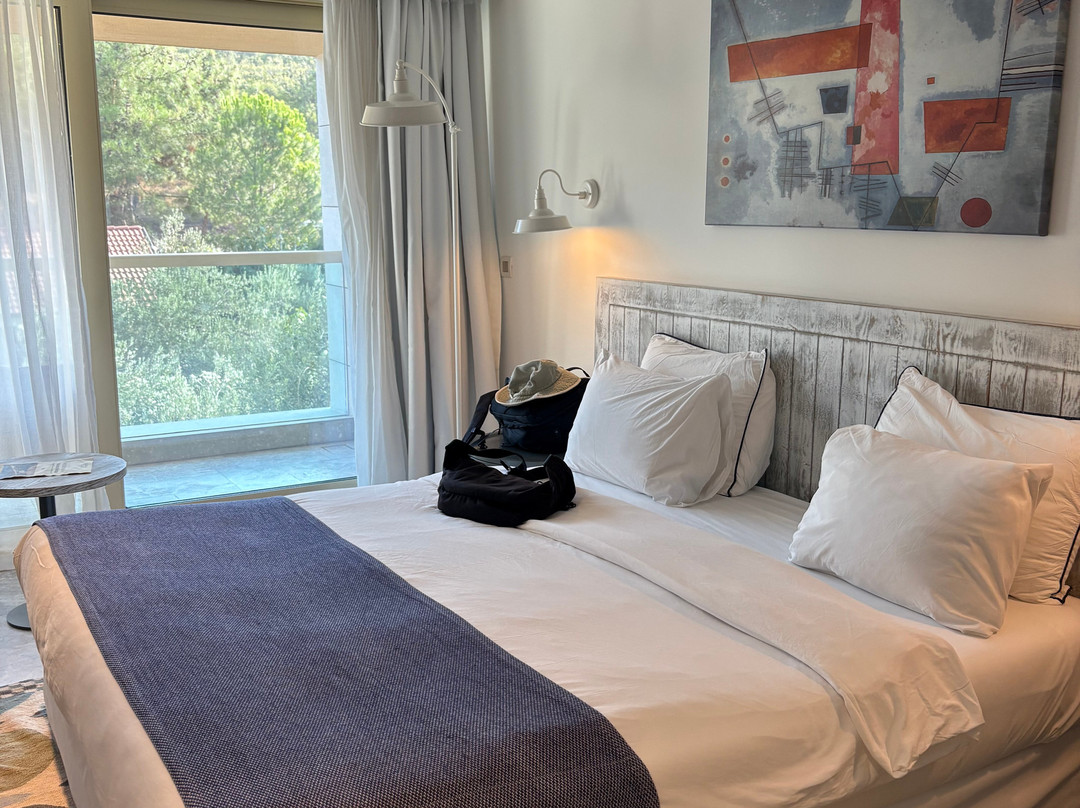 D Resort Ayvalik主图