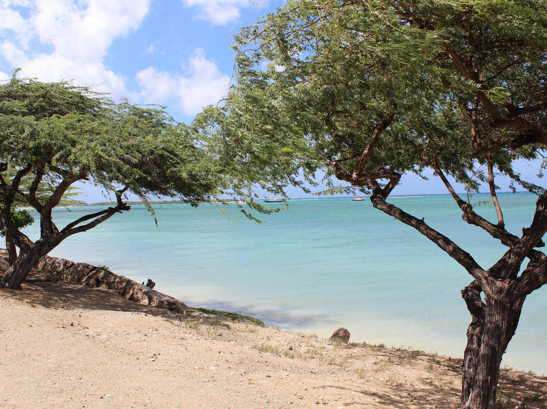 Surfside Beach-奥腊涅斯塔德必去景点
