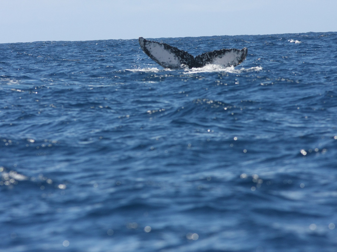 Ecosul Turismo-Ilheus必去景点