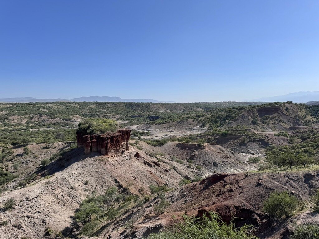 Olduvai Gorge Museum-恩戈罗恩戈罗保护区必去景点