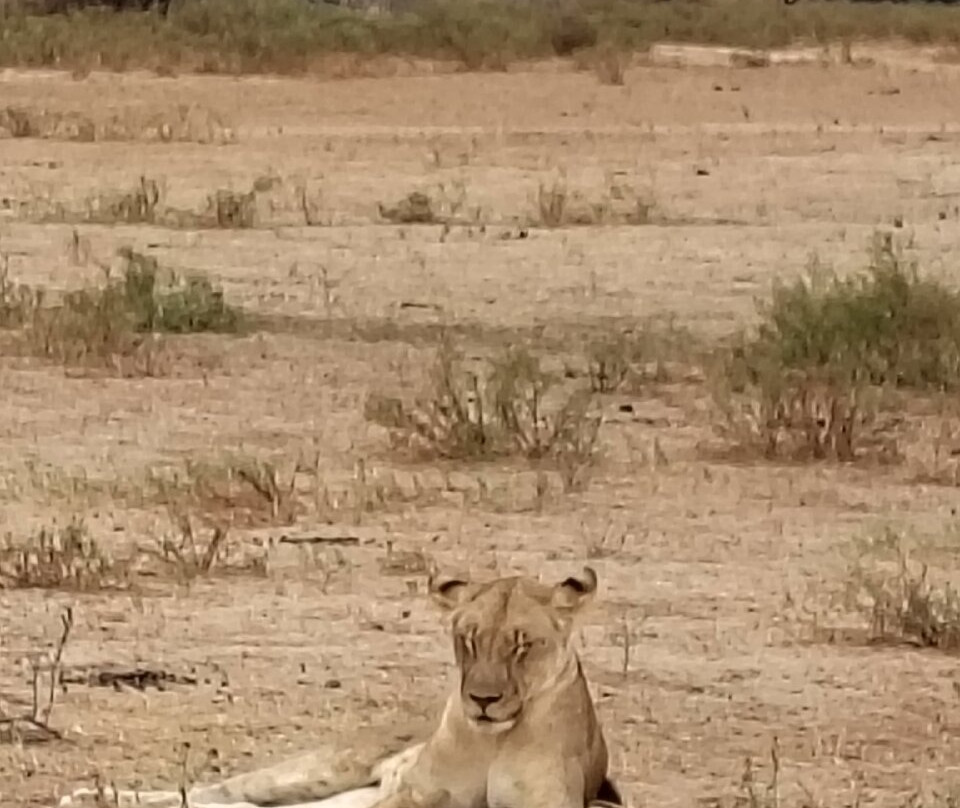 Nyasi Adventure-Dar es Salaam必去景点