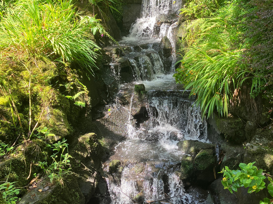 Clyne Gardens-斯温西必去景点