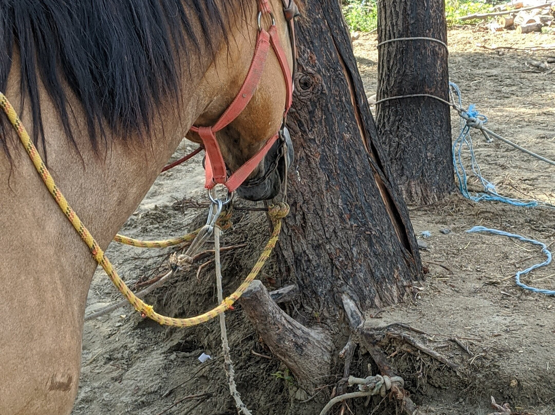 Riverdream Club-Glyki必去景点