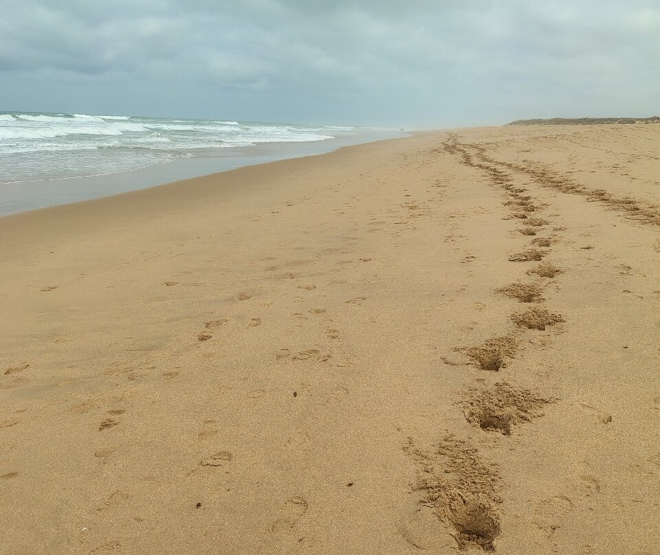 Playa Mangueta-Los Canos de Meca必去景点