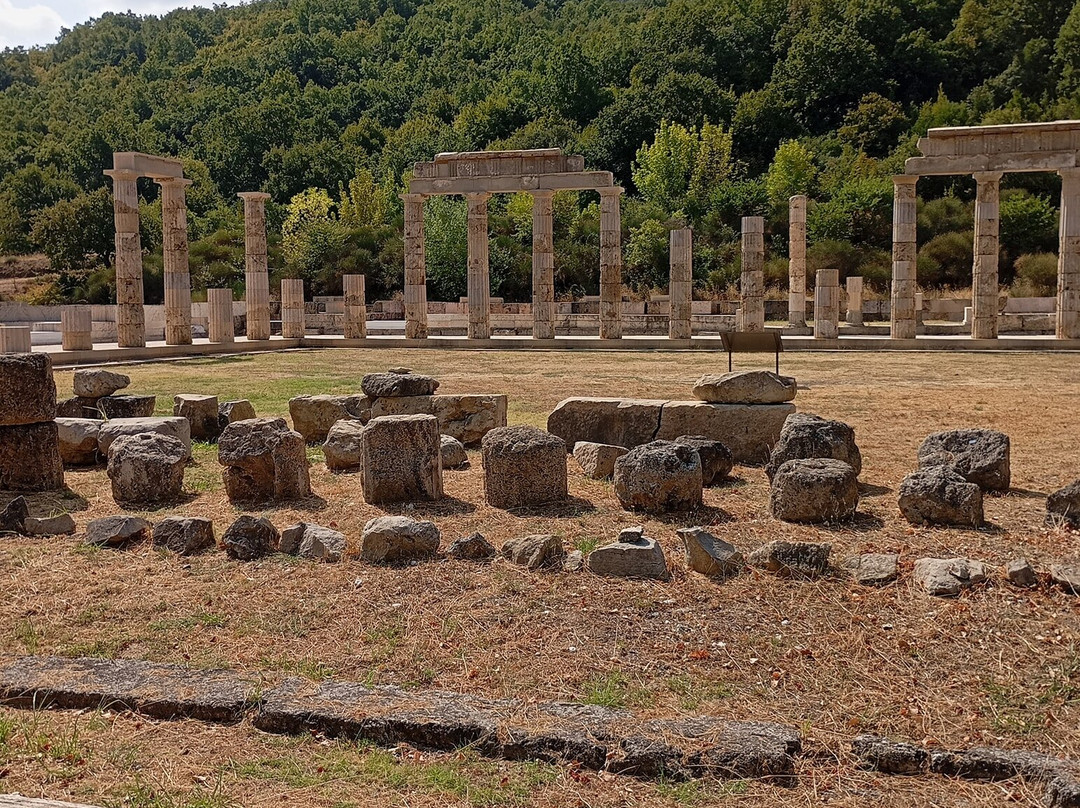 Palace of Aigai-Vergina必去景点