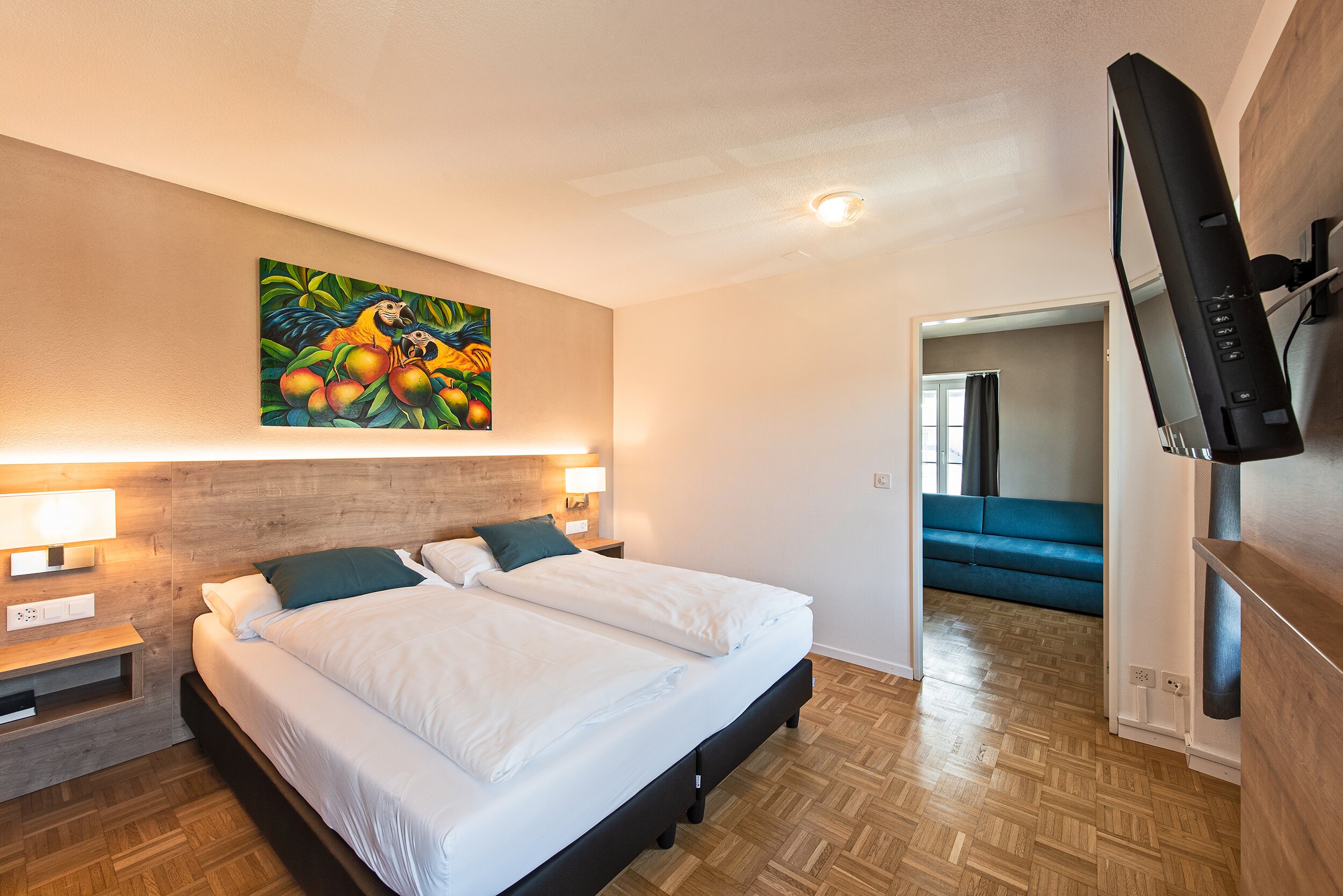 Hotel zum Hirschen-客卧