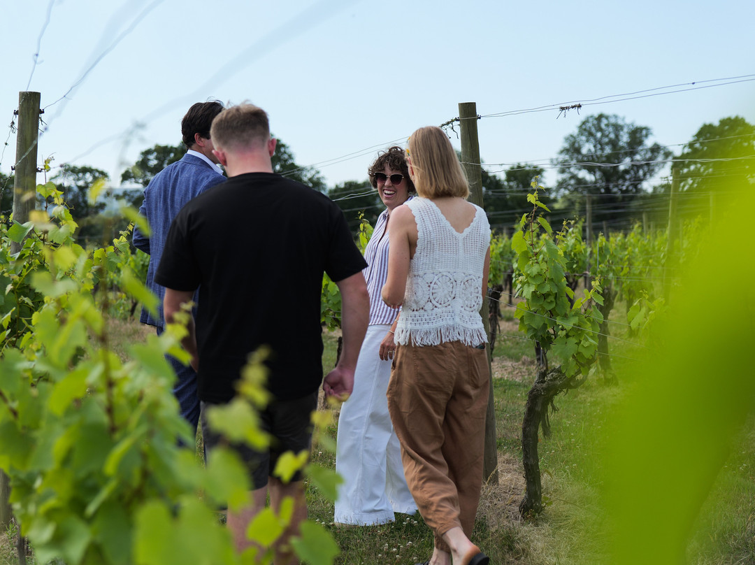 Ridgeview-Ditchling必去景点