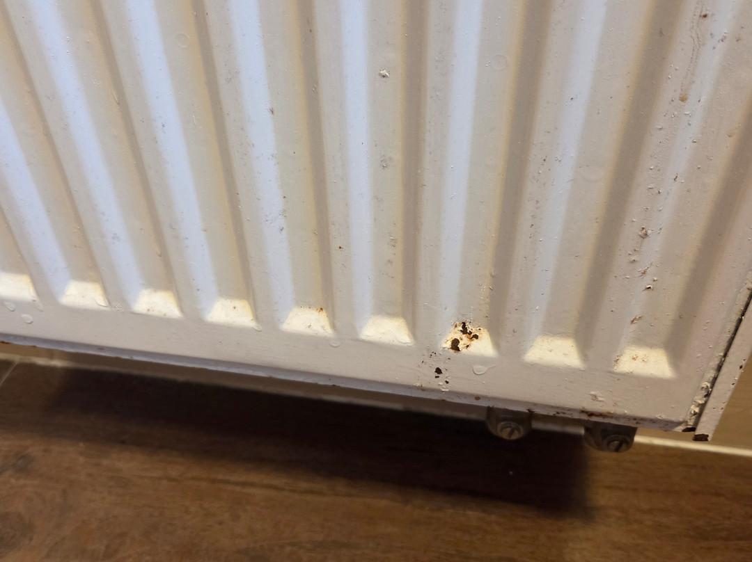 Giorgi Hotel Restaurant主图