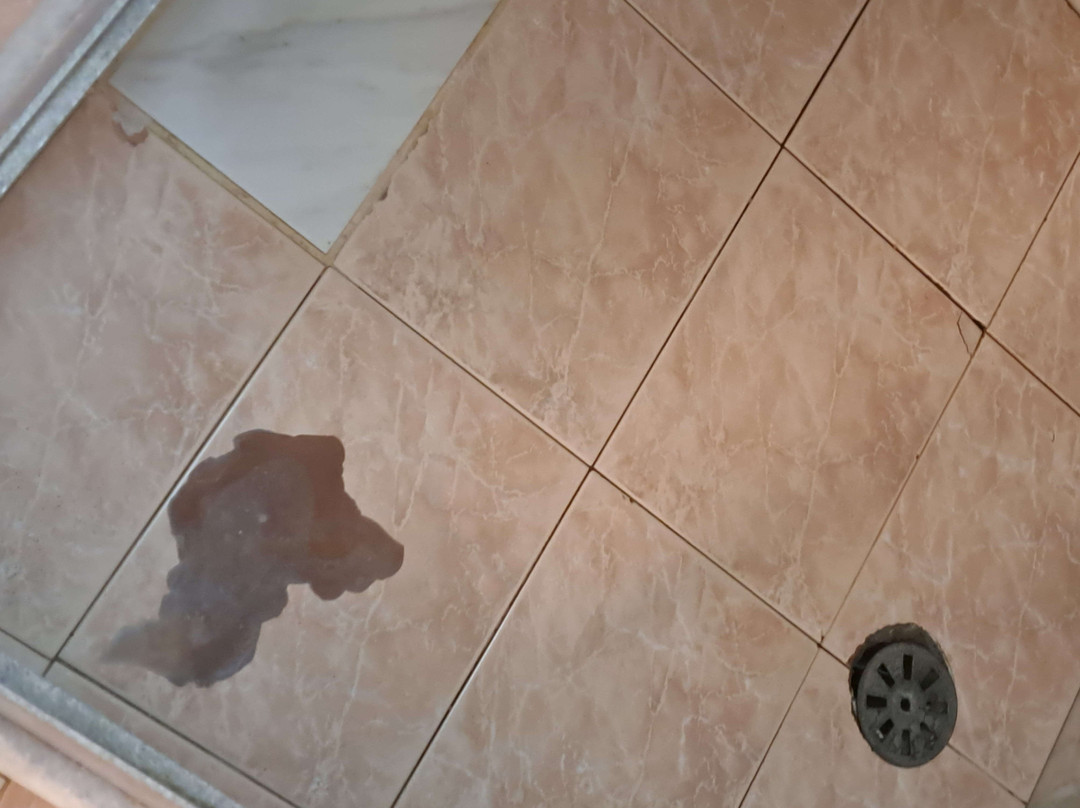 Diogenis Blue Palace主图