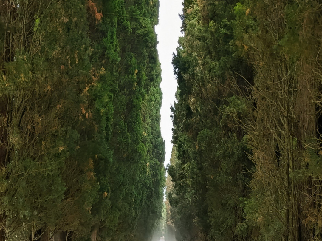 Morisfarms-Cura Nuova必去景点