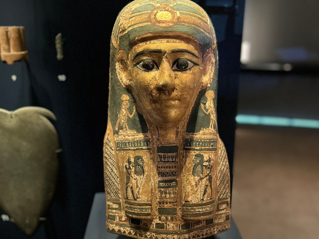 耶鲁大学皮博迪自然史博物馆-纽黑文必去景点