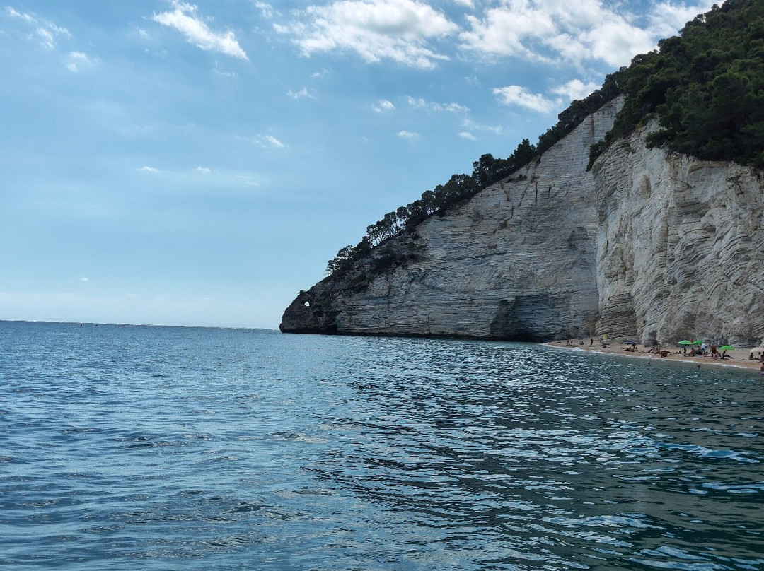Costante Nicola Agenzia Tour Delle Grotte-佩斯基奇必去景点