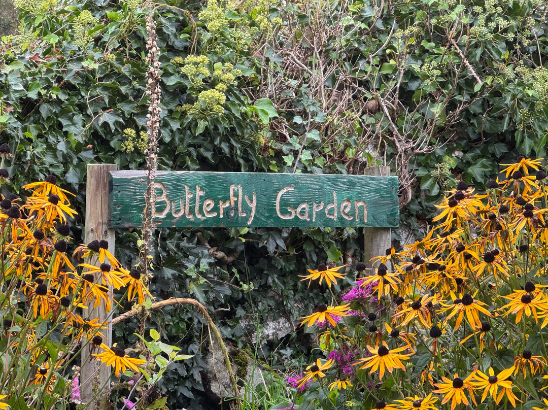 The Burren Visitor Centre-Kilfenora必去景点