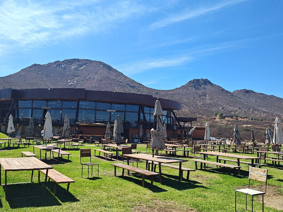 Decantos Vinicola-Valle de Guadalupe必去景点