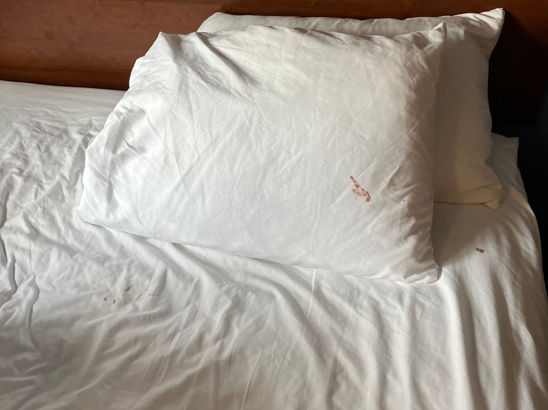 My Place Hotel-Brookings, SD主图