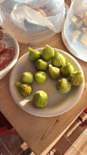 Agriturismo La Quarta主图