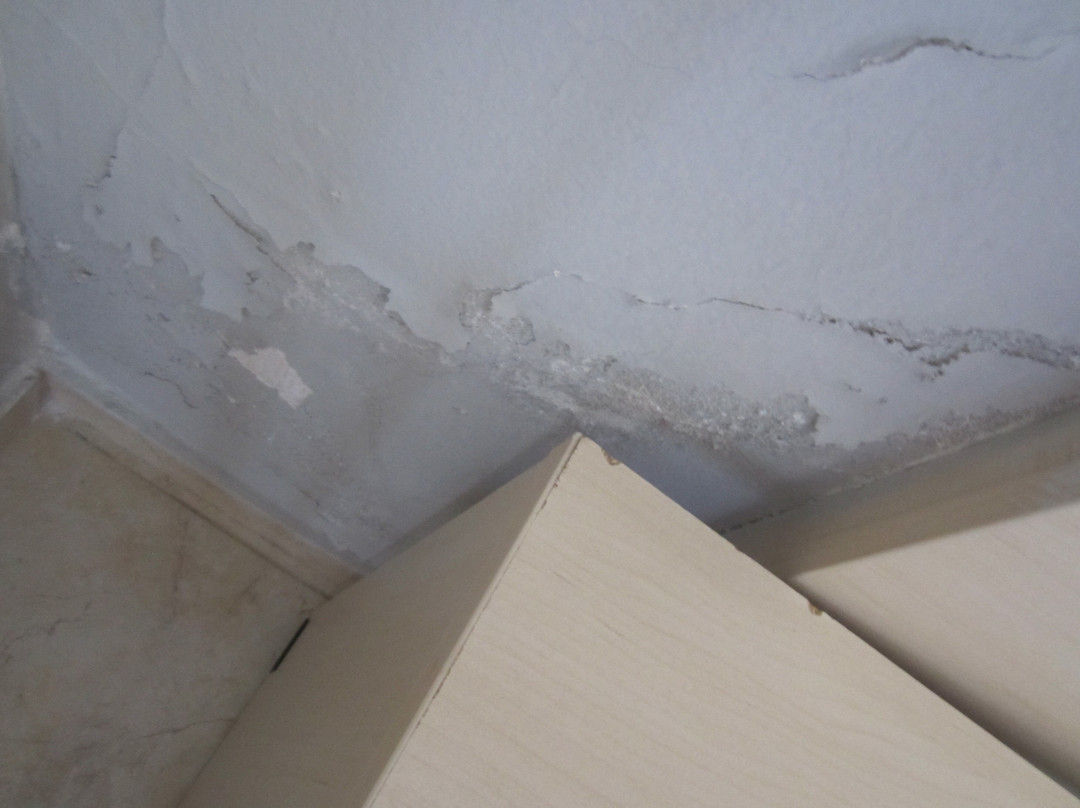 Plessas Palace Hotel主图