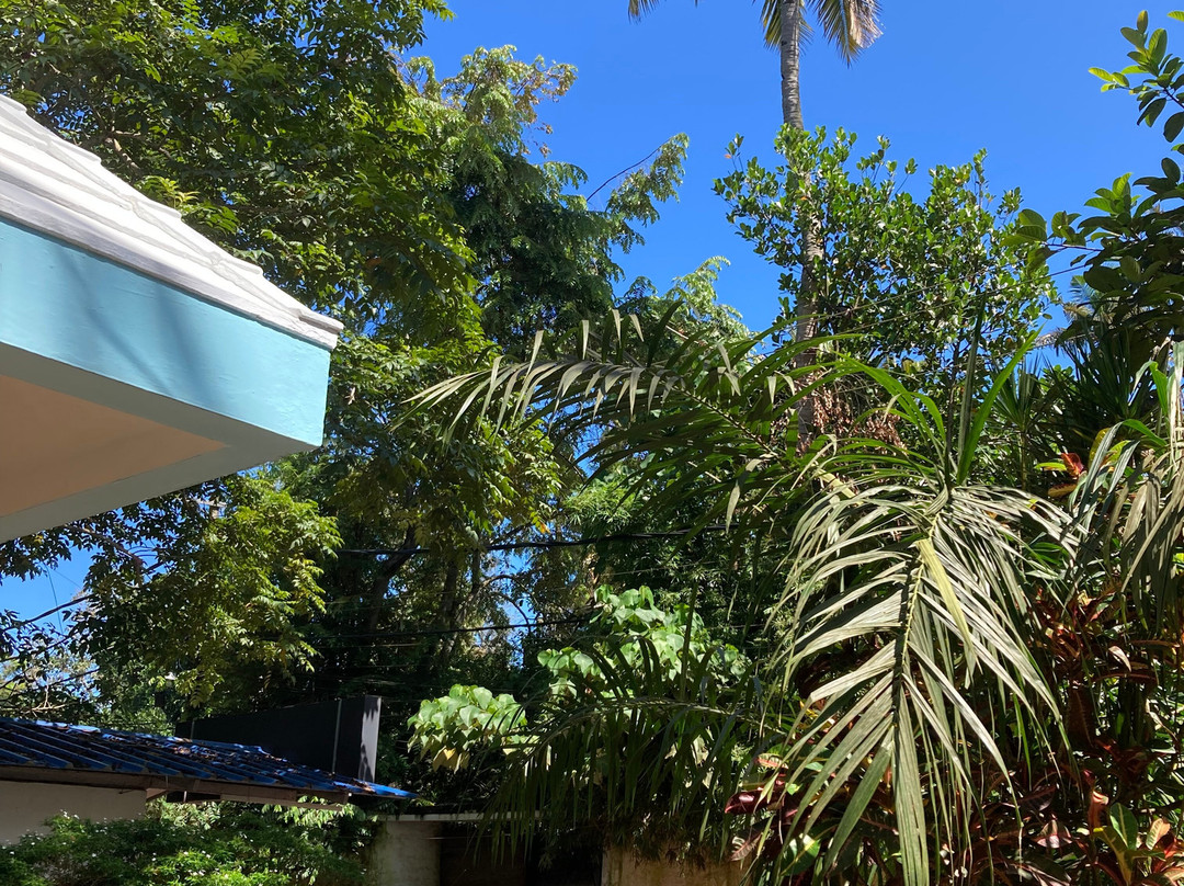 Devvrat Yoga Sangha-Varkala必去景点