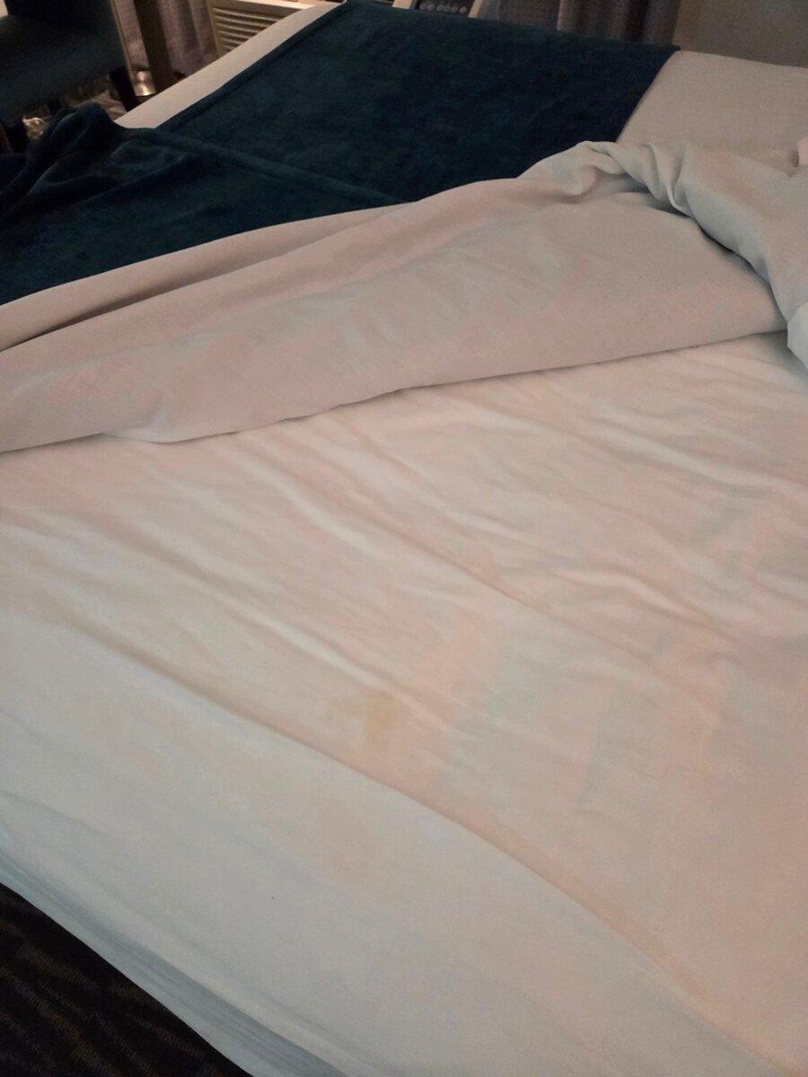 Best Western Inn Of Payson-客卧