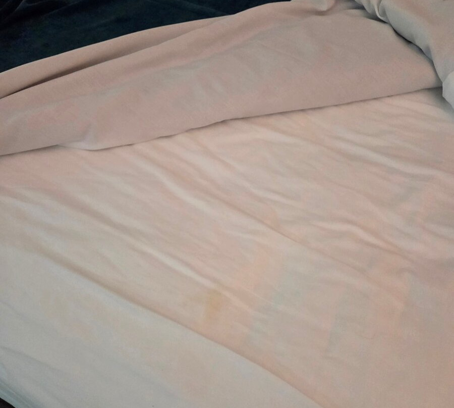 Best Western Inn Of Payson主图