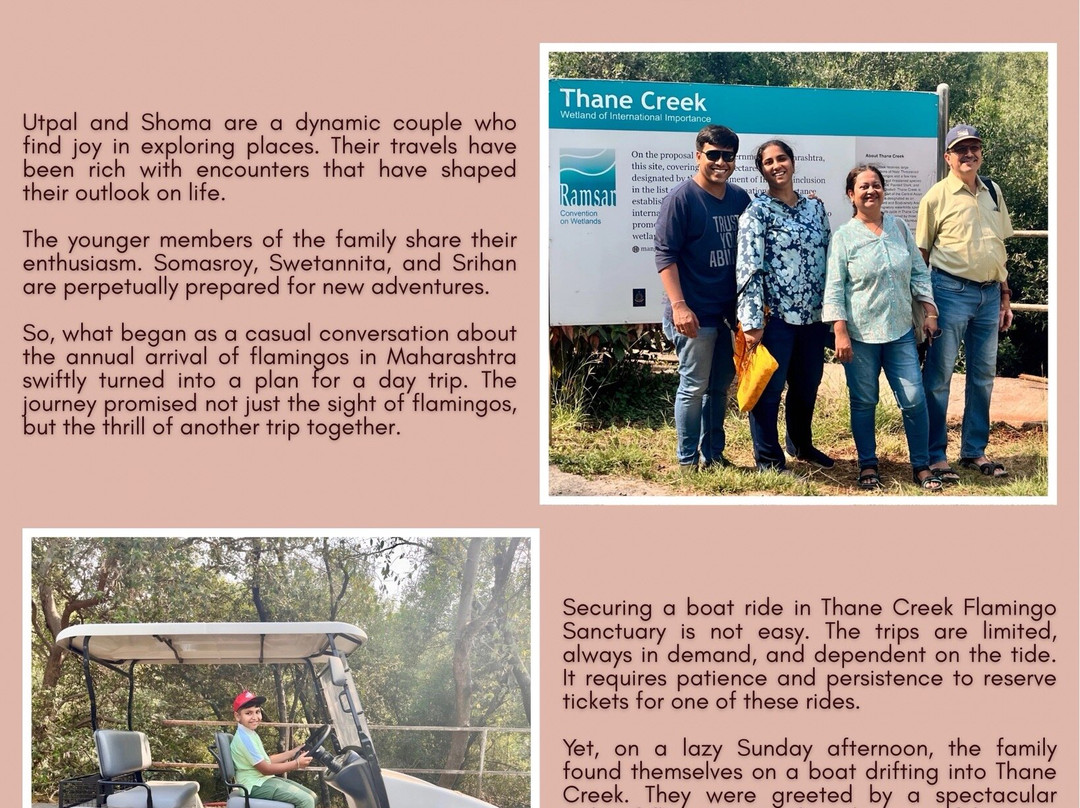 Thane Creek Flamingo Sanctuary-新孟买必去景点