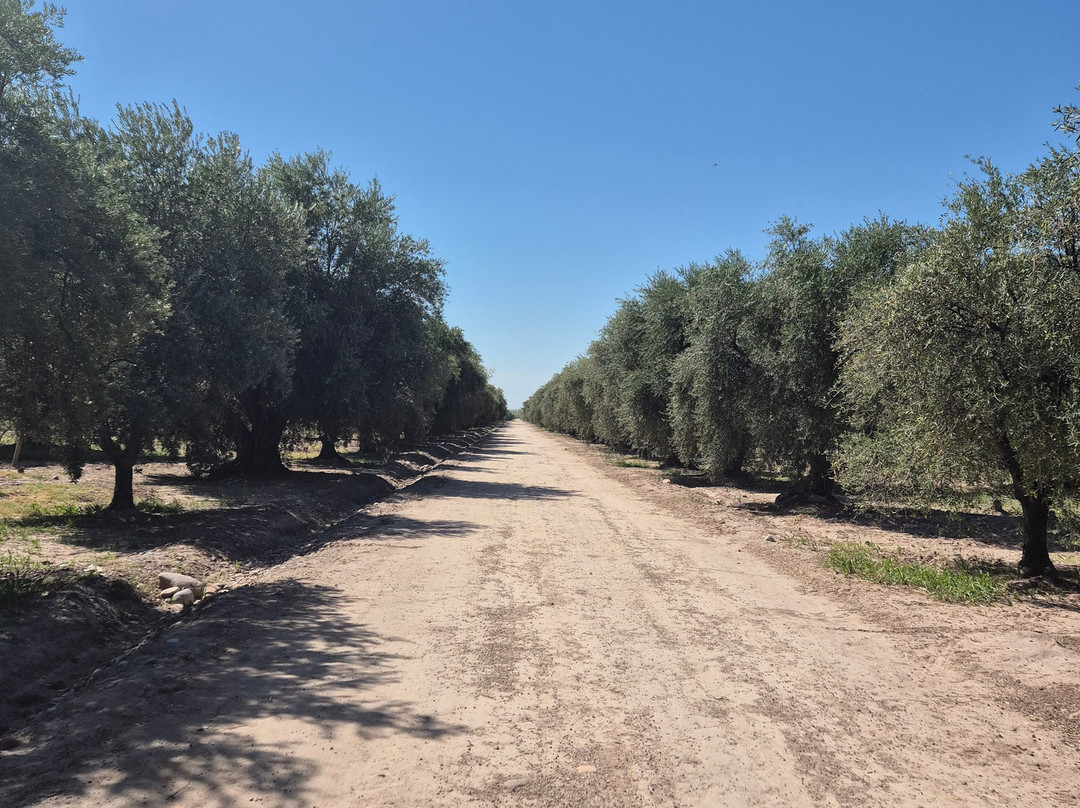 Finca El Paraíso - Bodega Luigi Bosca-Maipu必去景点