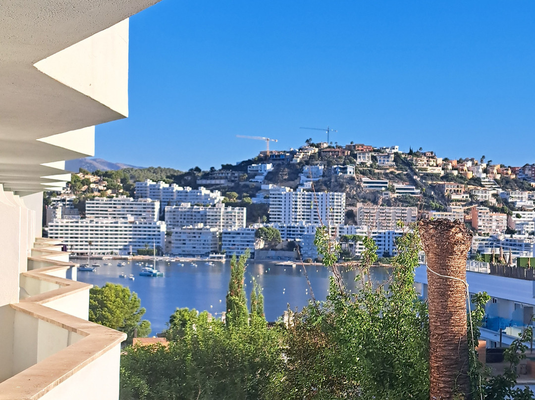 Bahia del Sol Hotel主图