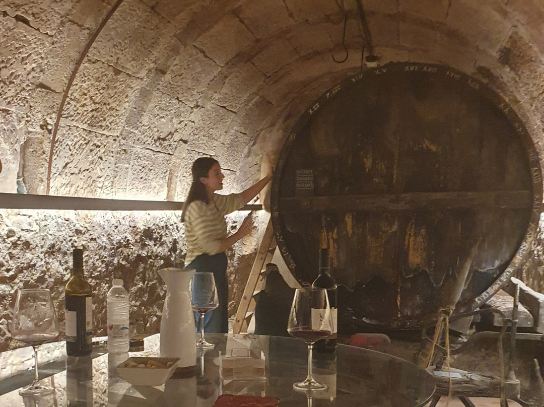 Calado de Catas El Legado-Cenicero必去景点