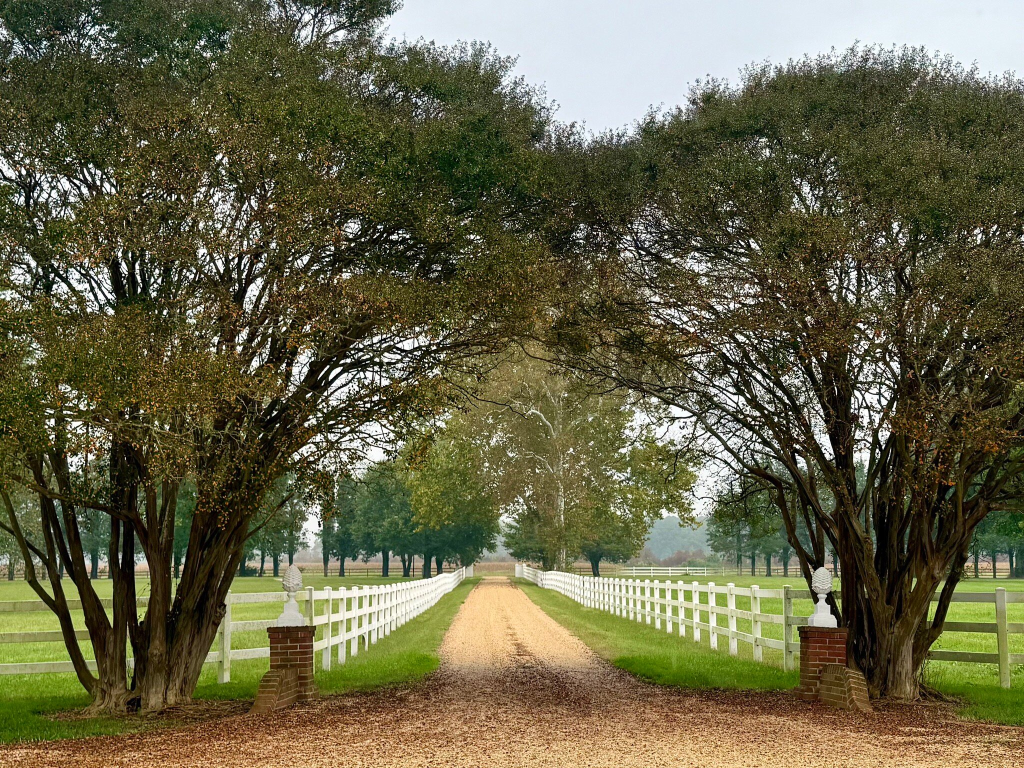 Inn At Warner Hall-官方