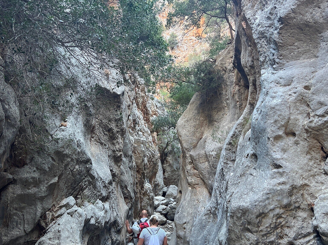 Kritsa Gorge-Kritsa必去景点