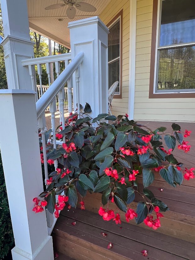 Amber House Bed and Breakfast-官方