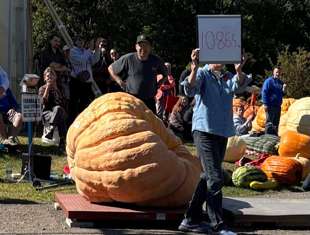 Residence Inn Burlington Colchester主图