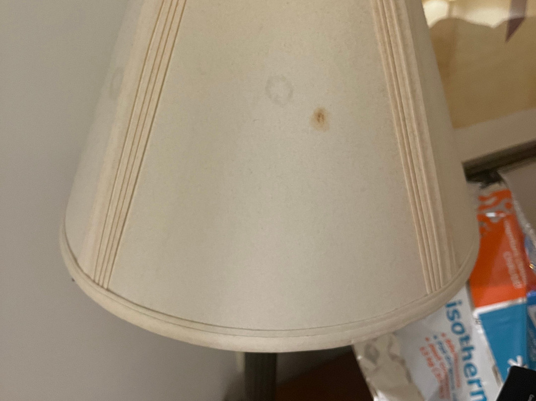 Wingate by Wyndham Coon Rapids主图